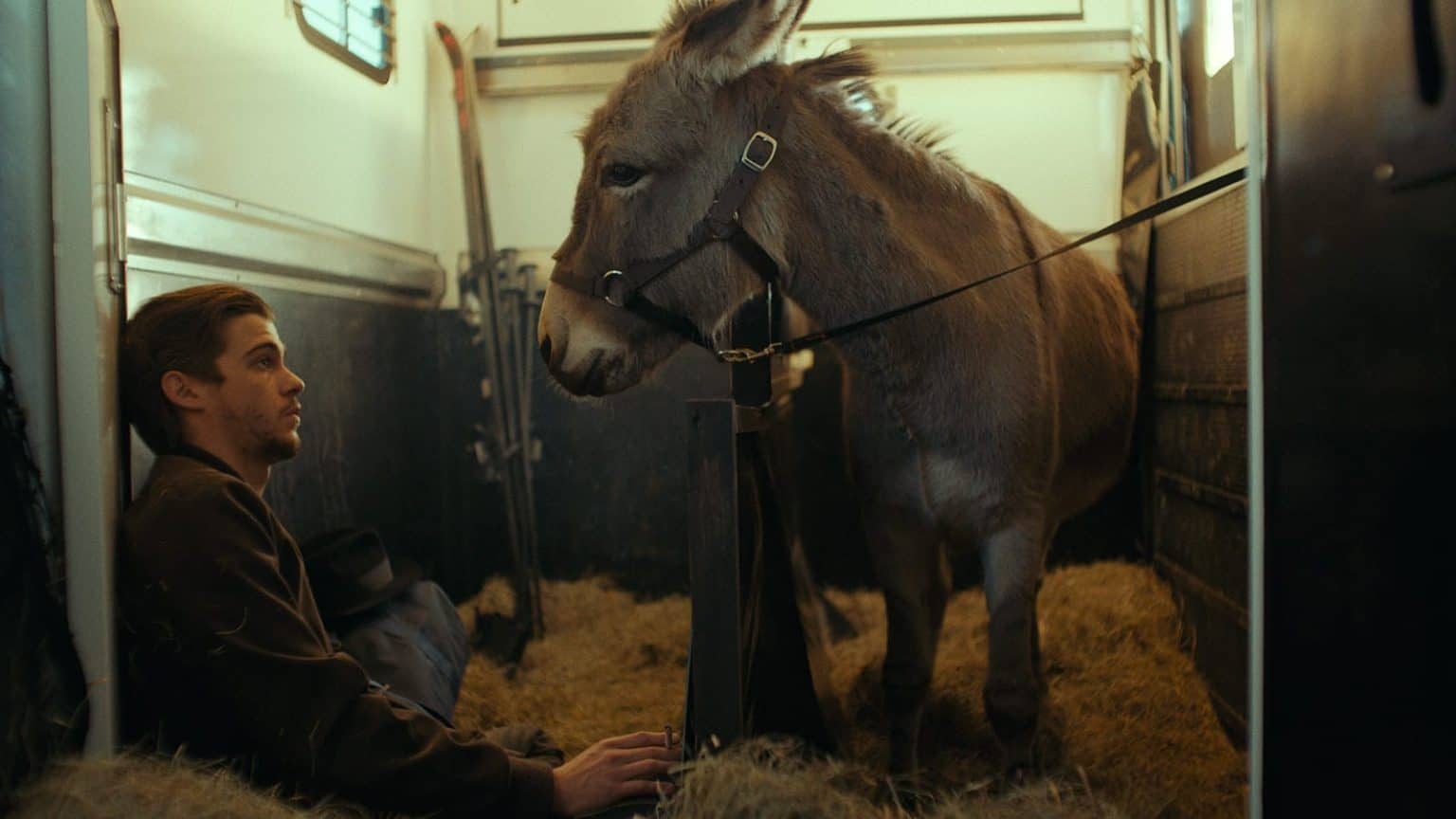 ‘EO’ Blu-Ray Review – A Masterful Exploration Of The Duality Of Human Nature