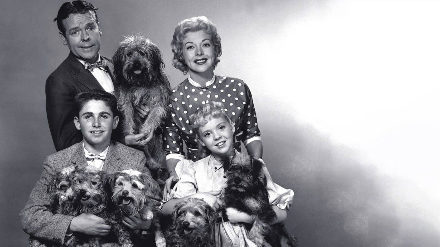 ‘Blondie’: The Complete 1957 Television Series Blu-Ray Review – A Nostalgic Family Sitcom