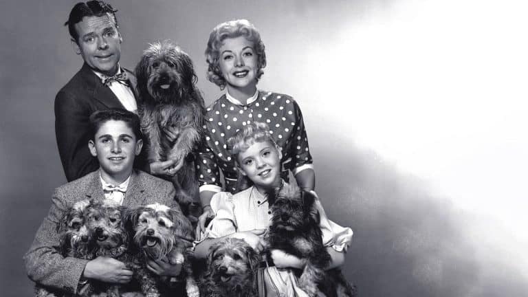 ‘Blondie’: The Complete 1957 Television Series Blu-Ray Review – A Nostalgic Family Sitcom