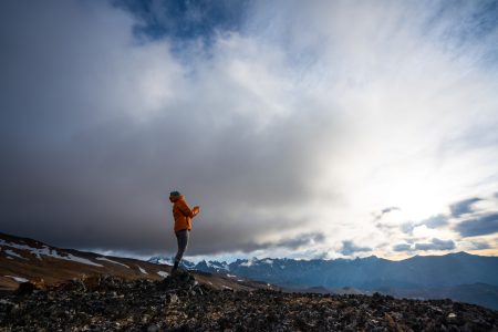 ‘Wild Life’ Review – A Visual Ode To Love And Conservation