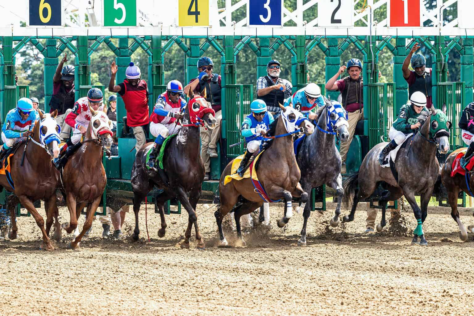 5 Factors To Look For In A Race Horse In The Kentucky Derby