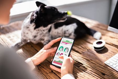10 Mobile App KPIs That Are Worth Reviewing