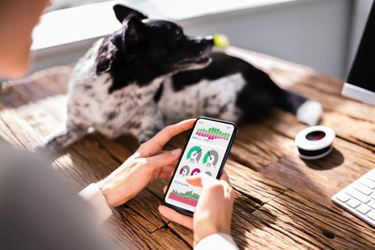 10 Mobile App KPIs That Are Worth Reviewing