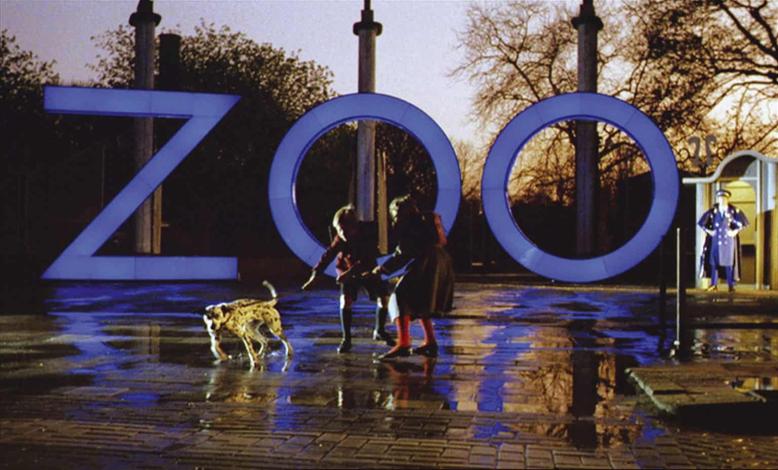 ‘A Zed & Two Noughts’ & ‘The Falls’: Two Films By Peter Greenaway Blu-Ray Review – Unhinged, Absurdist Humor