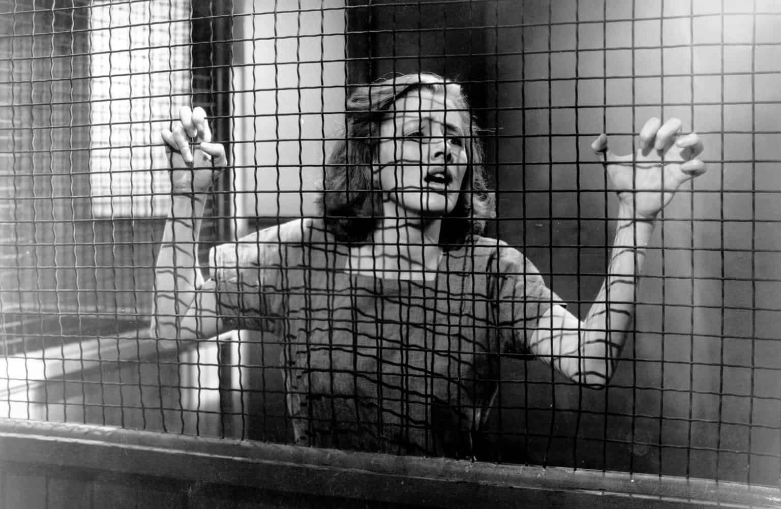 ‘Caged!’ (1950) Blu-Ray Review – Top Tier Women-In-Prison Drama Puts Focus On Character