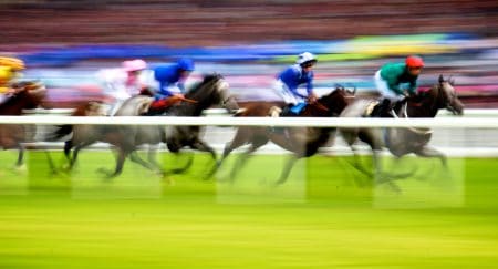 Bet Calculators In Horse Betting: Your Essential Tool for Winning Wagers