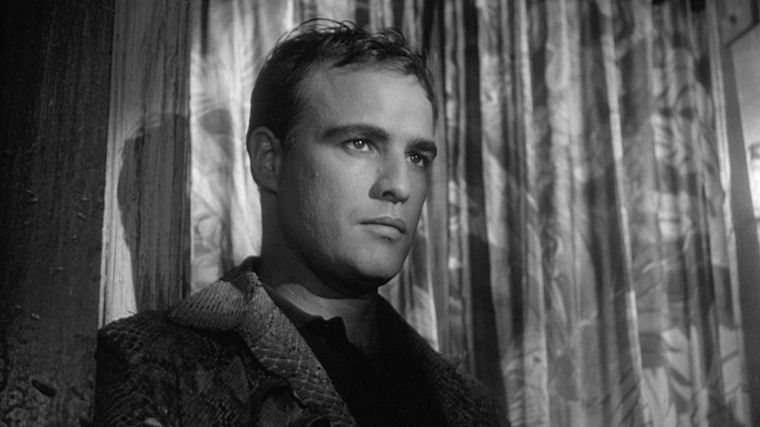 Imprint Films Announces December Titles Including Work From Marlon Brandon, Dustin Hoffman & More