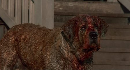 ‘Cujo’ 4K UHD Blu-Ray Review – Keep Up To Date With Your Rabies Shots