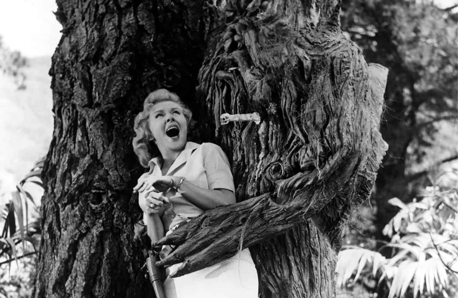 ‘From Hell It Came’ Blu-Ray Review – Beware The Fearsome Tree Monster