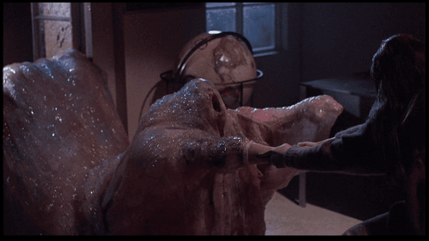 The Blob