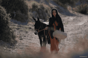 A woman with a donkey walking down a dirt road.