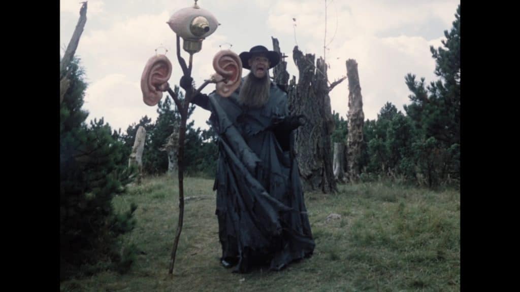 A man dressed in black is standing in a wooded area.