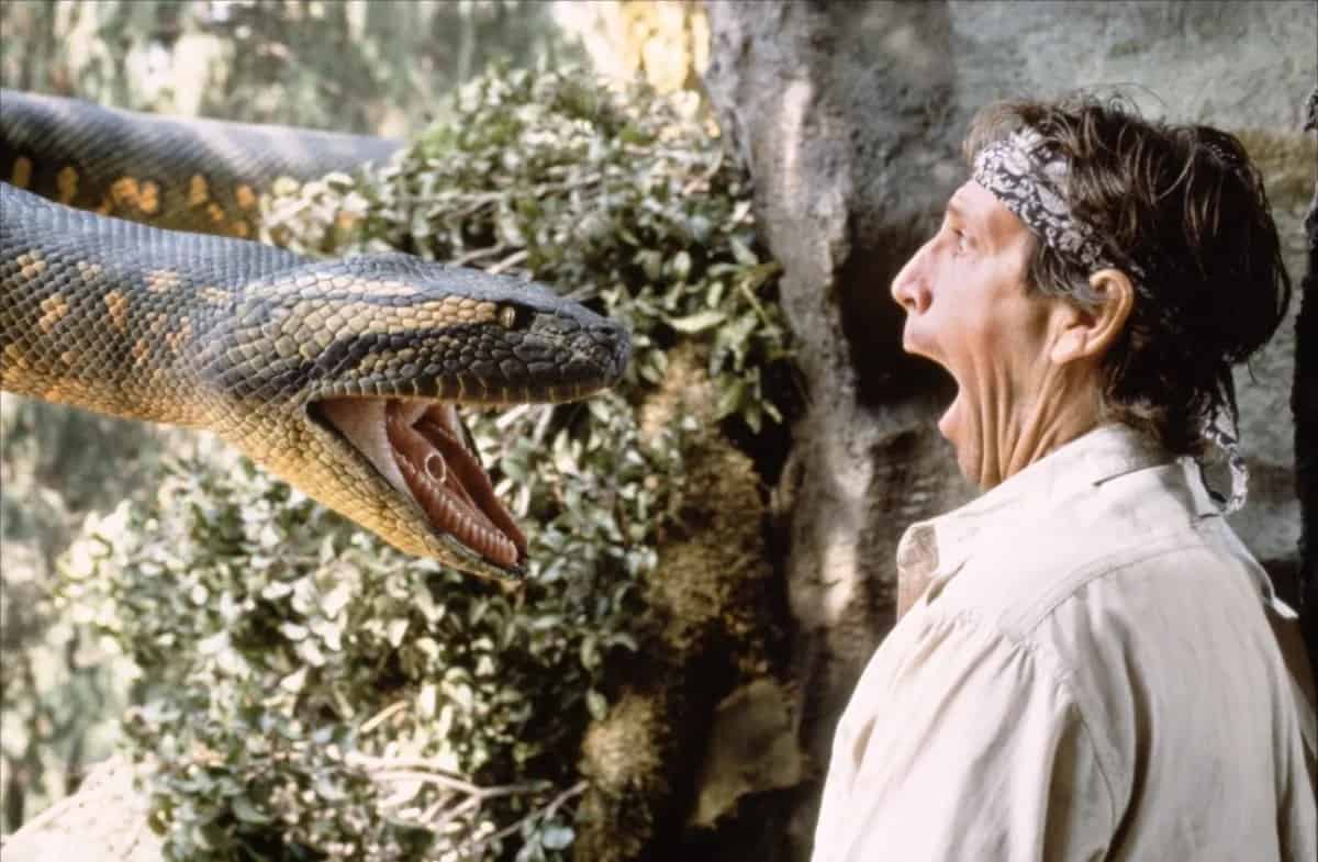 A man is looking at a snake with his mouth open.