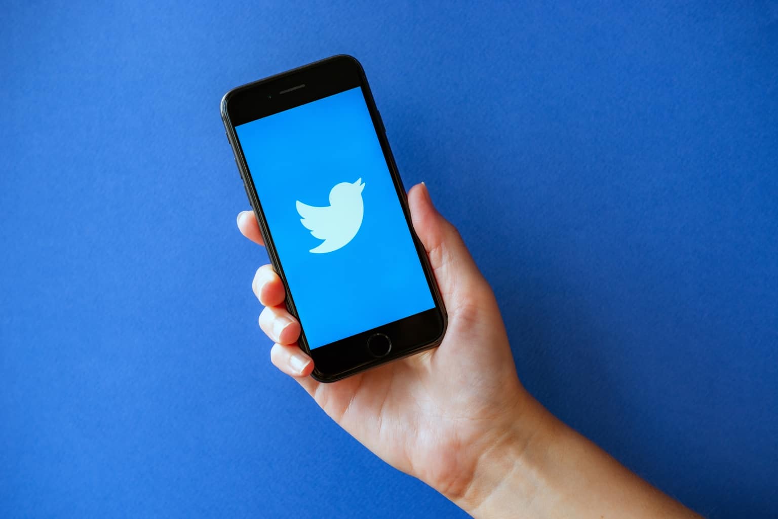 Echoes In The Void: Where Old Tweets Are No More Mentioned Again