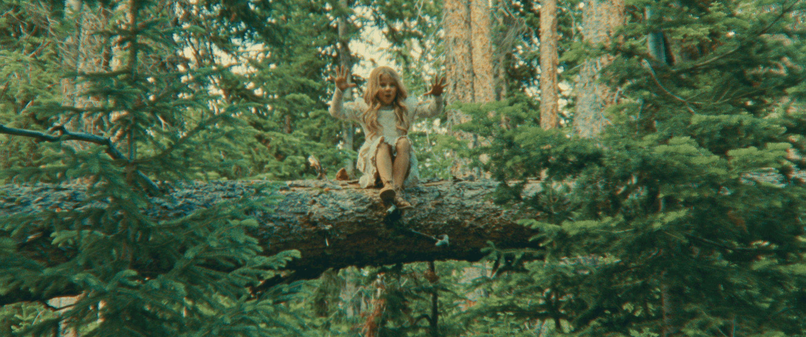 Child sitting on a fallen tree in a forest, playfully reaching out towards the camera.