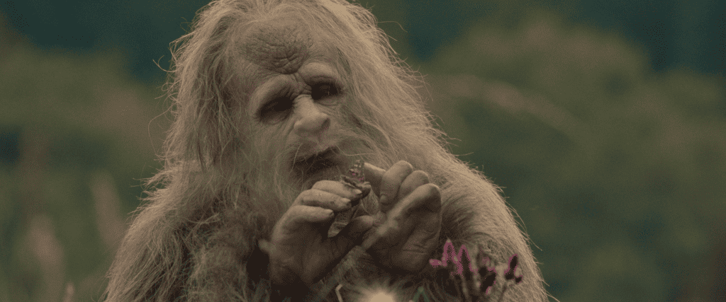 A sasquatch eating a flower in a field.