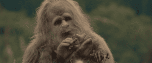 A sasquatch eating a flower in a field.