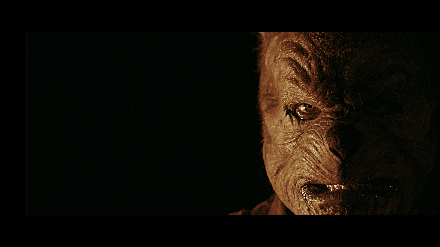 Twisted Fairytale Horror Sequel ‘Winnie The Pooh: Blood And Honey II’ Heads To Blu-Ray This December