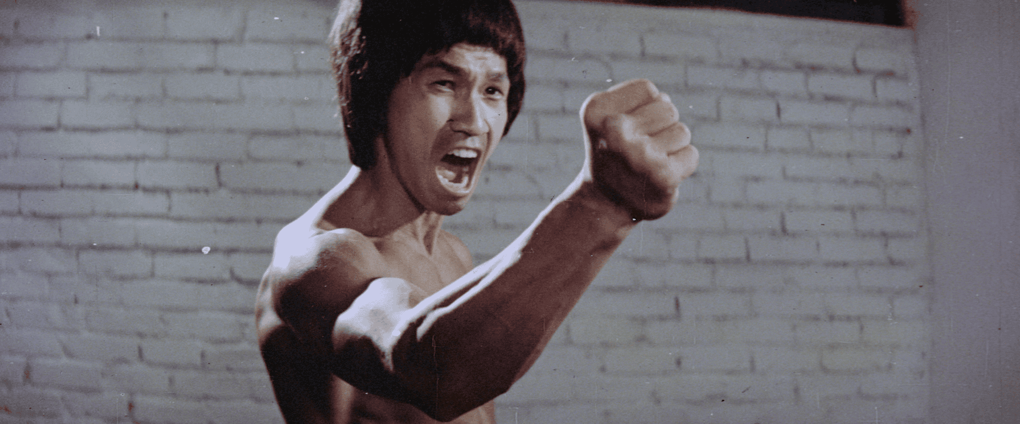 A martial artist mid-pose, displaying a powerful expression and fist.