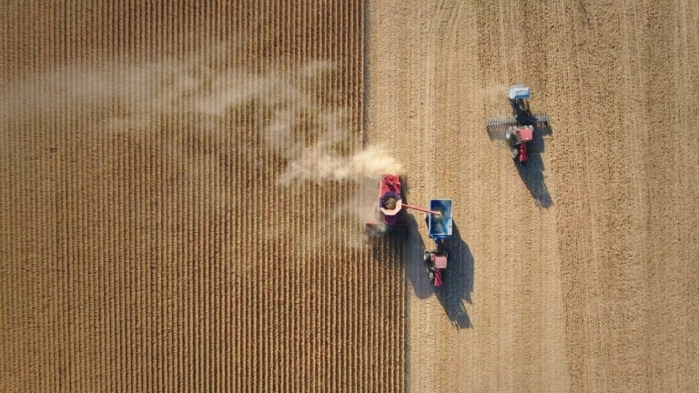 Aerial view of three tractors harvesting wheat in a field, with one tractor collecting grain and creating a dust trail.