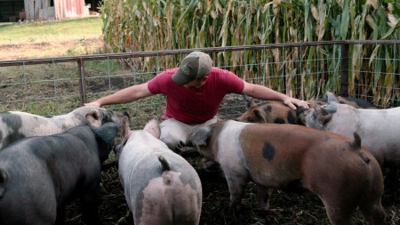 Magnolia Debuts Clip For Documentary ‘Food, Inc. 2’ To Celebrate Home Entertainment Release (EXCLUSIVE)