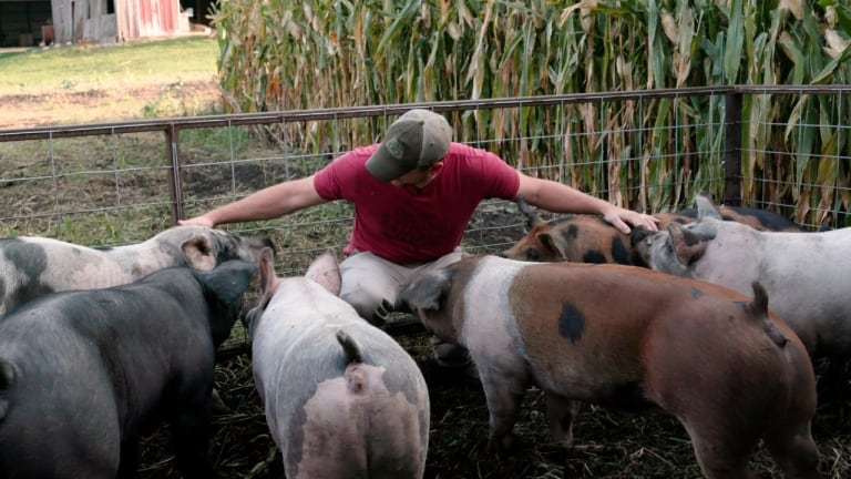 Magnolia Debuts Clip For Documentary ‘Food, Inc. 2’ To Celebrate Home Entertainment Release (EXCLUSIVE)