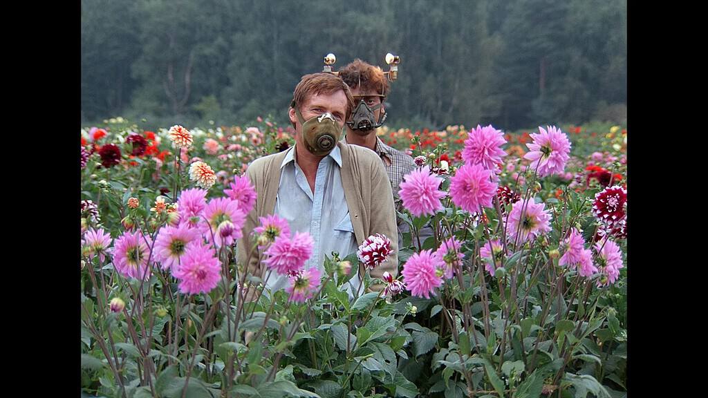Two men wearing gas masks standing in a vibrant field of multicolored dahlias.