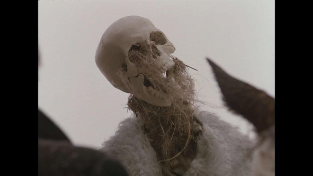 A close-up of a prop combining a human skull with white feathers and straw around the jaw, evoking a bird-like appearance, set against a cloudy sky.