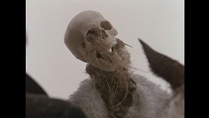 A close-up of a prop combining a human skull with white feathers and straw around the jaw, evoking a bird-like appearance, set against a cloudy sky.