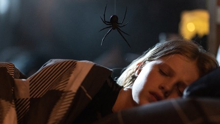 ’Sting’ Review – A Web-Wrapped Family Drama With A Side Of Heebie-Jeebies