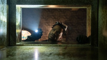 ‘Sting’ (2024) Blu-Ray Review – A Creepy Crawly Creature Feature