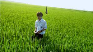 ‘All About Lily Chou-Chou’ Blu-Ray Review – A Challenging Exploration Of The Pain Of Growing Up A young man in a white shirt and black pants stands in a lush green rice field, holding a book and looking downward.