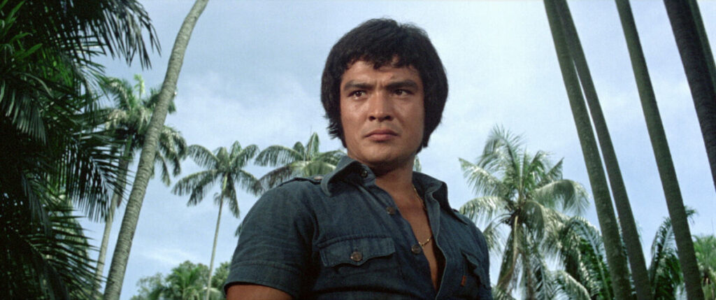 A person with short dark hair, wearing a dark blue shirt, stands amidst tall palm trees under a cloudy sky.