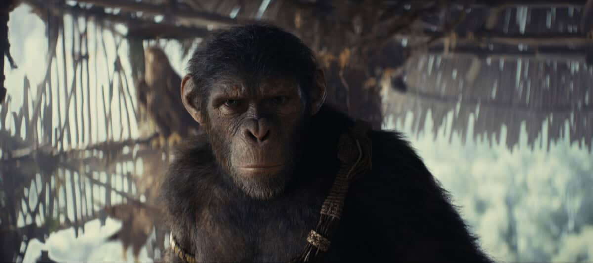 A close-up image of a cgi chimpanzee with a contemplative expression, set against a blurred backdrop of a wooden structure and cloudy sky.