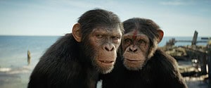 Two realistic cgi chimpanzees on a coastal background with wreckage visible in the shallow waters behind them.