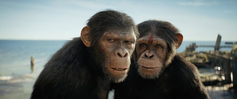 20th Century Studios To Release ‘Kingdom Of The Planet Of The Apes’ On 4K UHD Blu-Ray This August