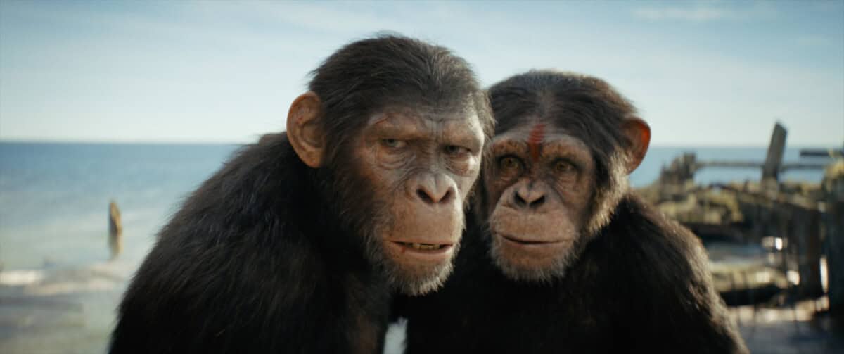 Two realistic cgi chimpanzees on a coastal background with wreckage visible in the shallow waters behind them.