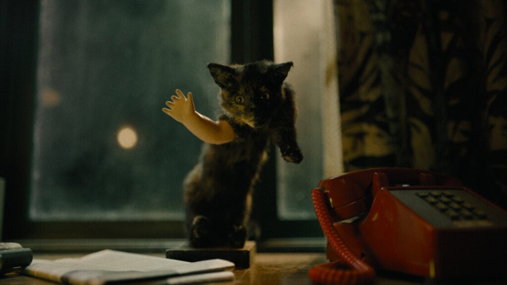 A cat standing on a table near a red rotary phone and a notepad, with a prosthetic arm attached to its side.