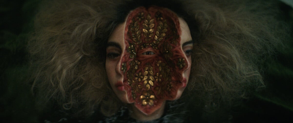 A surreal image featuring a person with a large, flower-like growth covering their face, exposing eyes through the center; their hair is voluminous and appears to blend with a dark background.