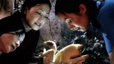 ‘The Vertical Ray Of The Sun’ Blu-Ray Review – Patient Vietnamese Drama Delights The Senses