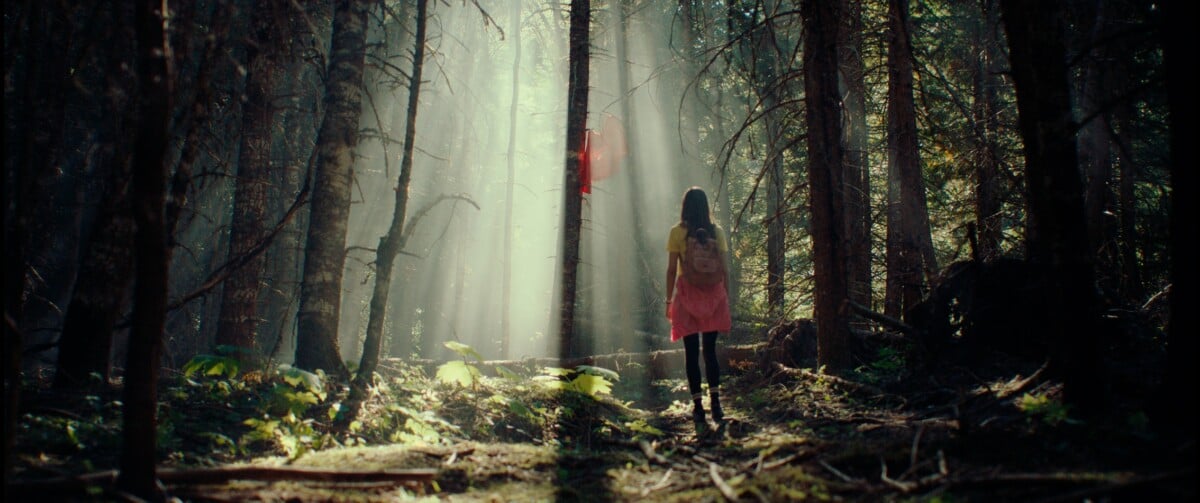 A person with a pink backpack walks through a sunlit forest, with light beams filtering through the trees and a red ribbon tied to a branch.