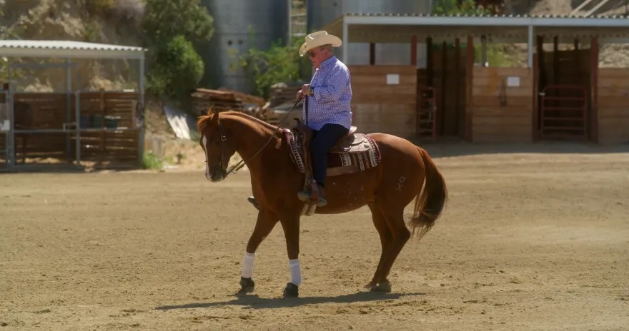 A person in a cowboy hat rides a brown horse in an outdoor arena with wooden structures in the background.