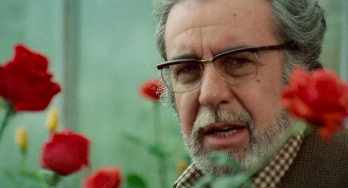 A man with glasses and a gray beard is standing among red roses, looking towards the camera.
