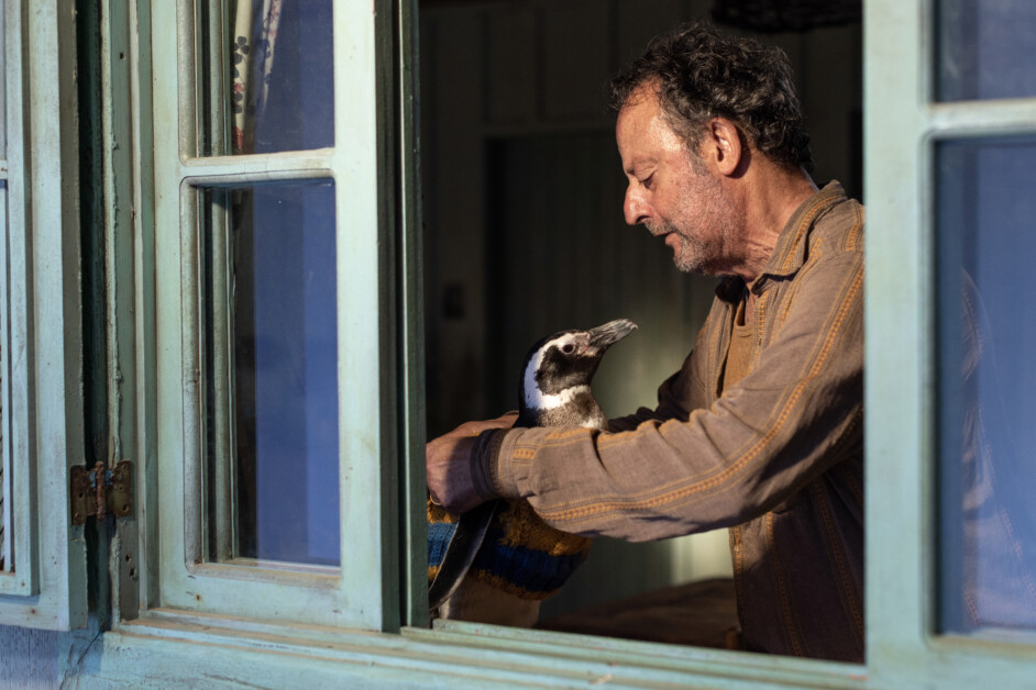 A man in a brown shirt is gently holding a penguin inside a room with open windows.