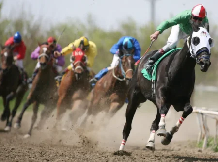 How To Bet On The Breeders Cup 2024