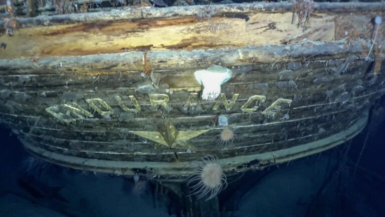 “Endurance” Film Review: Fails to Ignite the Passion Required To Become a Truly Compelling Work