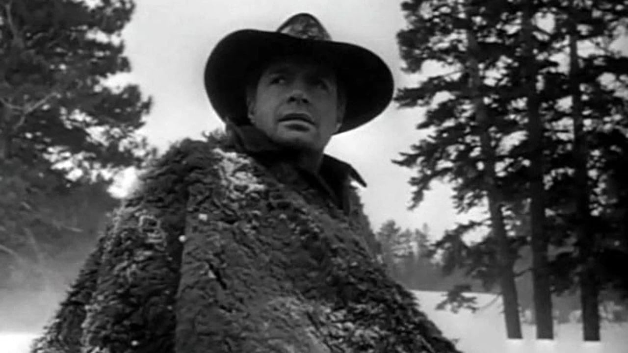 A person in a cowboy hat and heavy coat stands outdoors in a snowy forest, looking to the side.