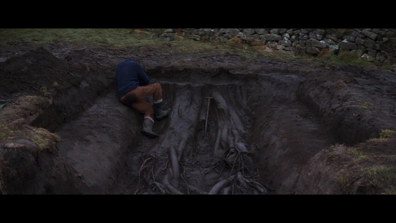 A person sits on the edge of a large, freshly dug trench with exposed tree roots, wearing a blue jacket and brown pants.