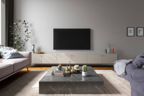 Modern living room with a wall-mounted TV, gray sofa, coffee table with decor, and plants. Light gray walls and framed pictures complete the minimalist decor.