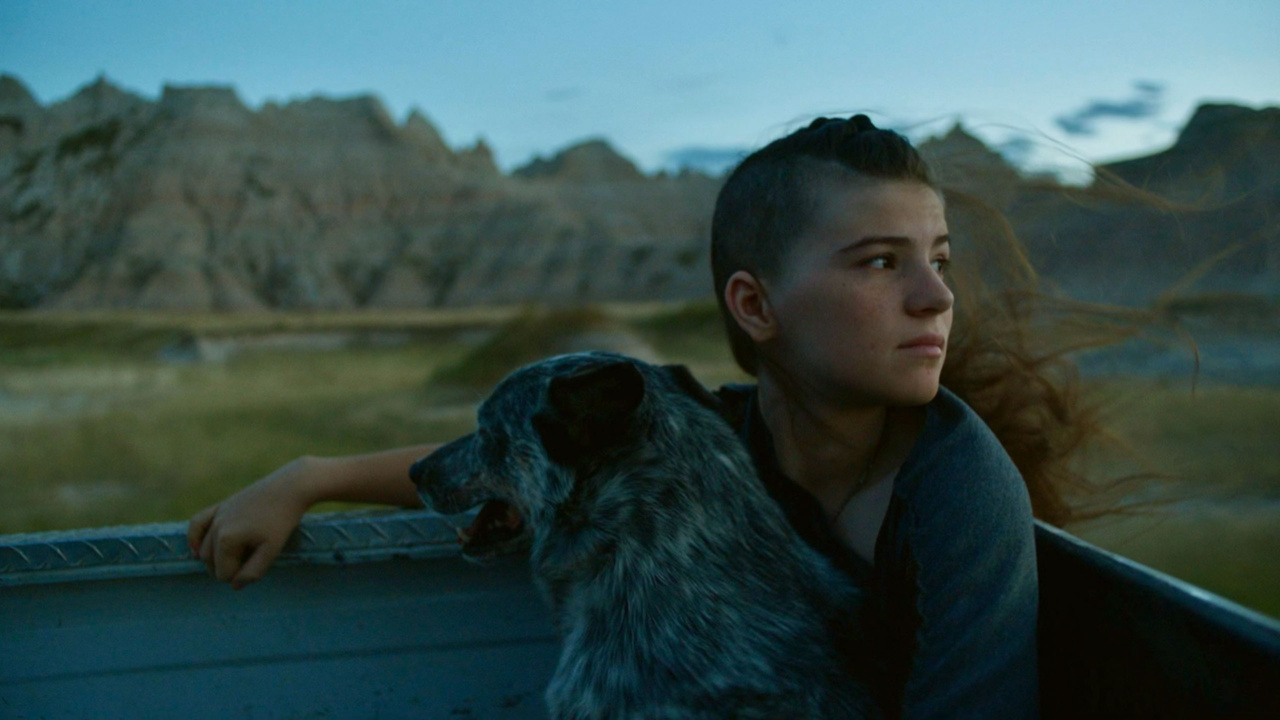 A person with short hair sits in a vehicle with a dog, looking out at the landscape. Rocky hills are visible in the background.